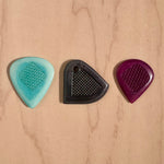 Black Starling - NEW!