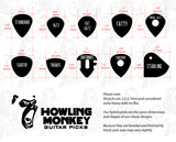 Black Starling - NEW!